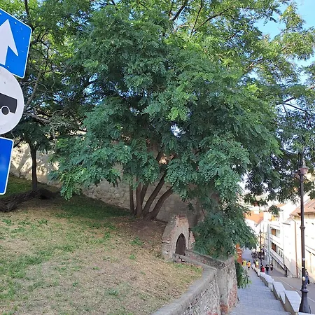 Carlone House Homestay Eger