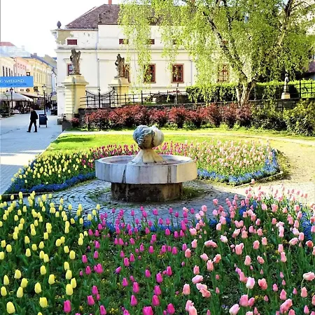 Carlone House * Eger